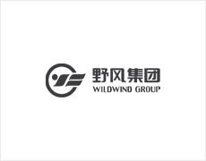 棱镜全息