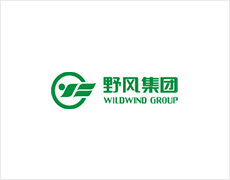 棱镜全息