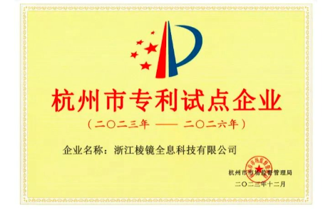 喜讯 | LNGIN棱镜全息荣膺2023年度杭州市专利试点企业